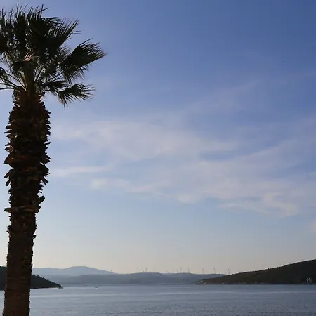 住宿加早餐酒店 Nar Cafe Siğacık