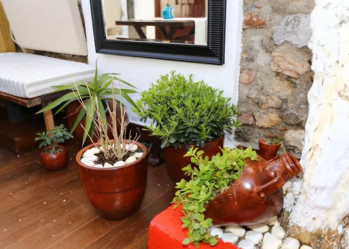 Bed & Breakfast Nar Cafe