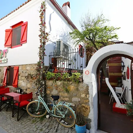 Bed and breakfast Nar Cafe