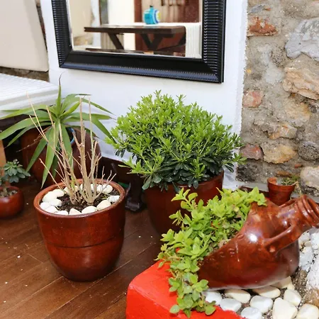 Bed & Breakfast Nar Cafe