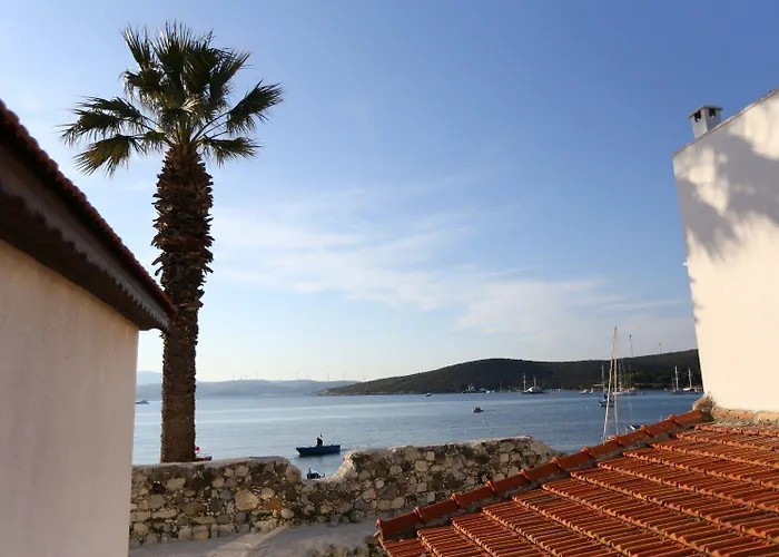 Nar Cafe Bed & Breakfast