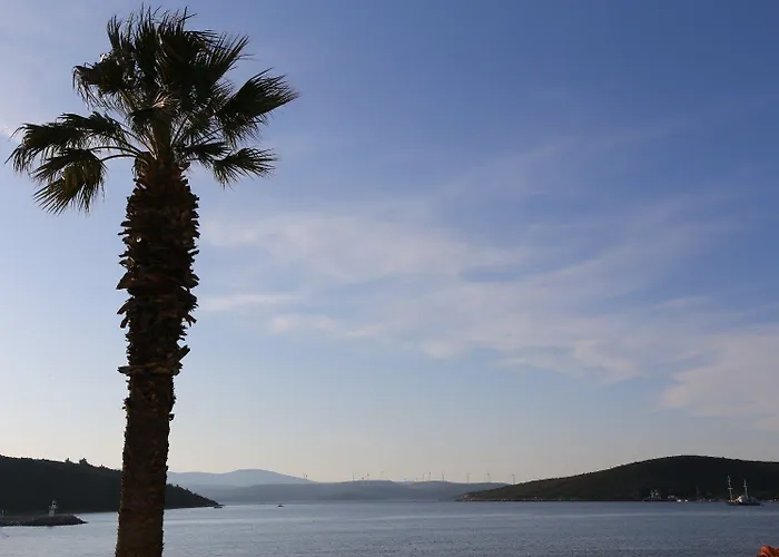 Bed & Breakfast Nar Cafe Siğacık